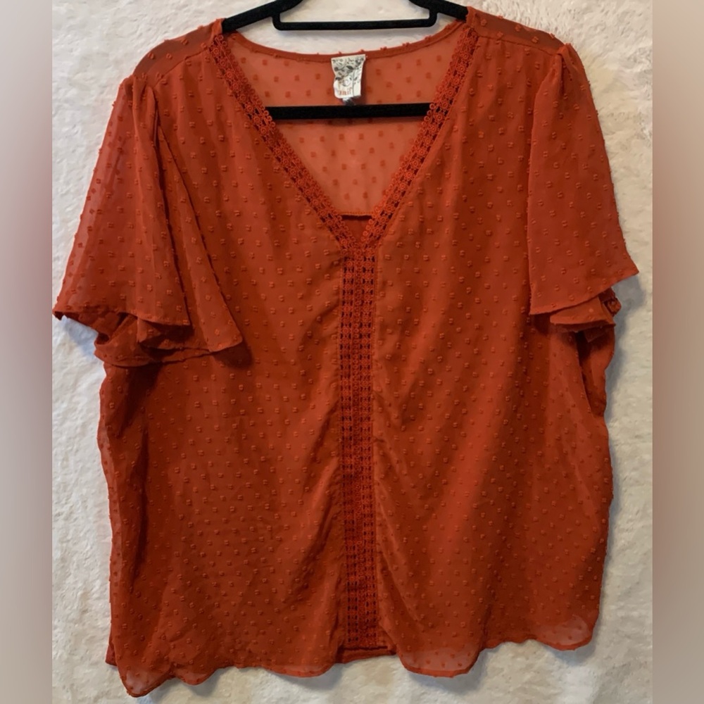 NAIF V-Neck Flutter Sleeve Blouse
